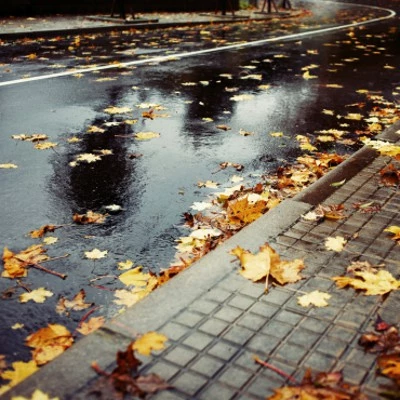 Pneu Vélo Michelin StarGrip 700 X 40C Réflecto 7 Pneu Vélo Michelin StarGrip 700 X 40C Réflecto – Image 5